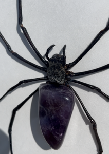 Spider with Amethyst