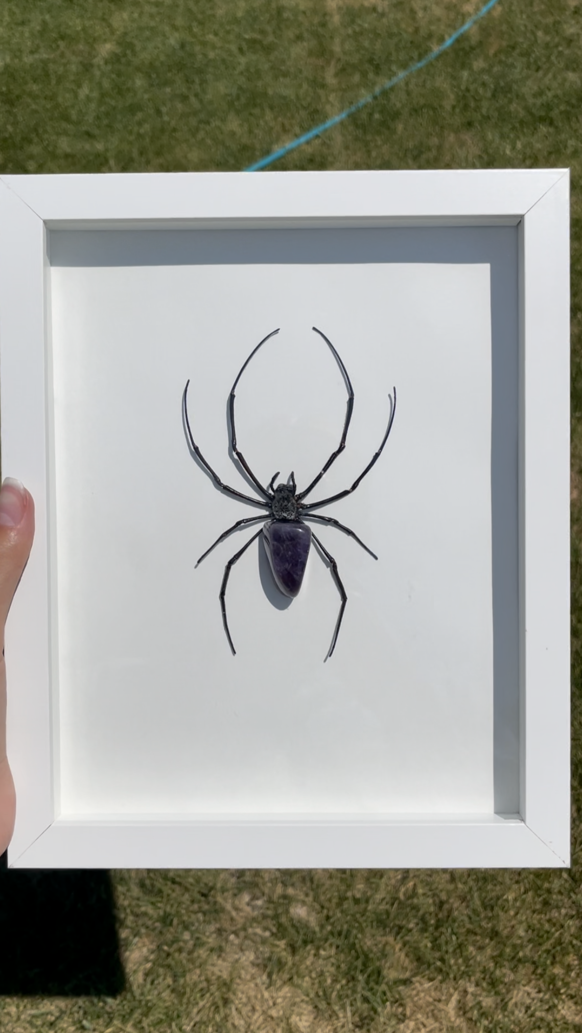 Spider with Amethyst